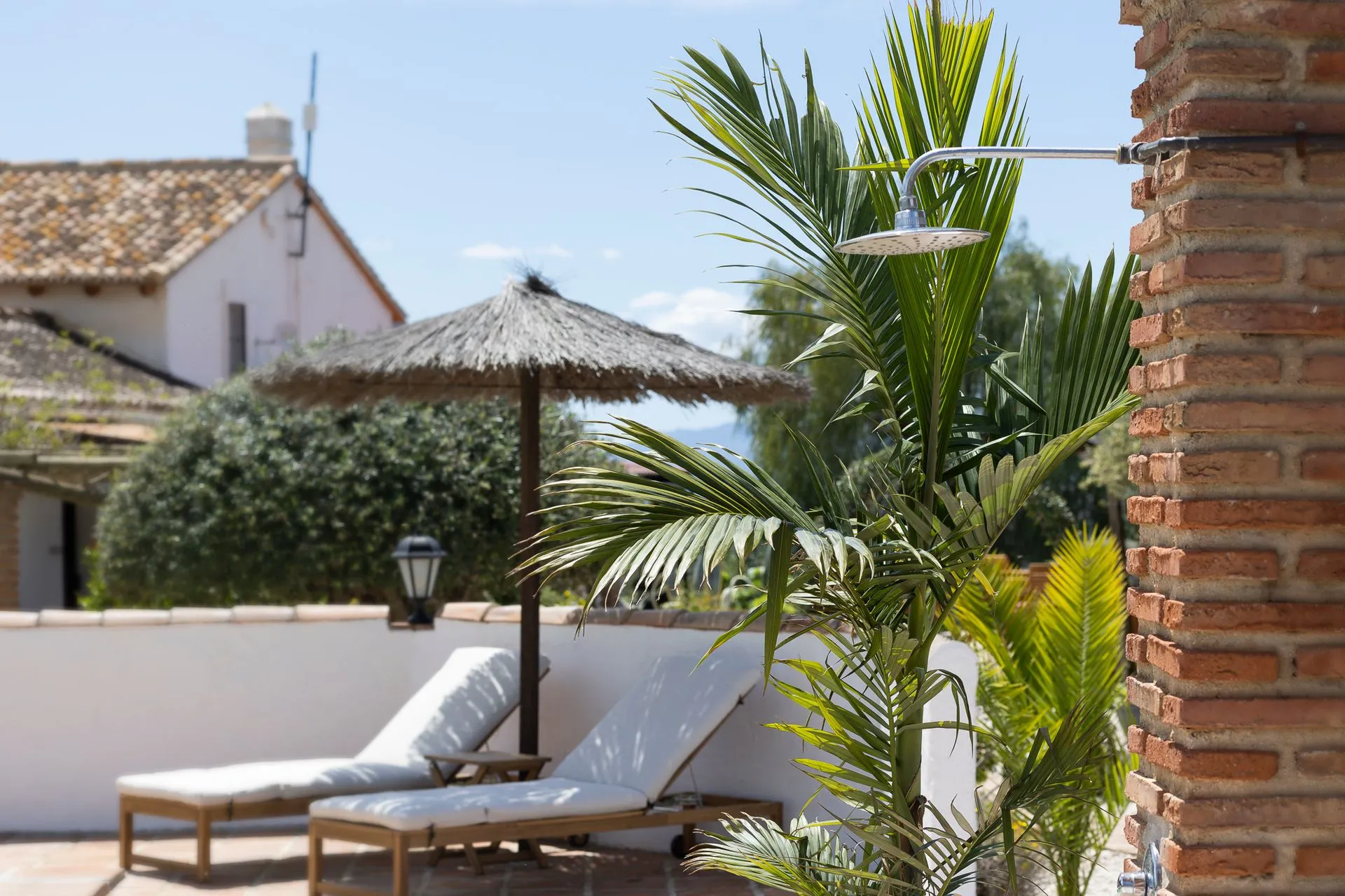 About the Estate (3)