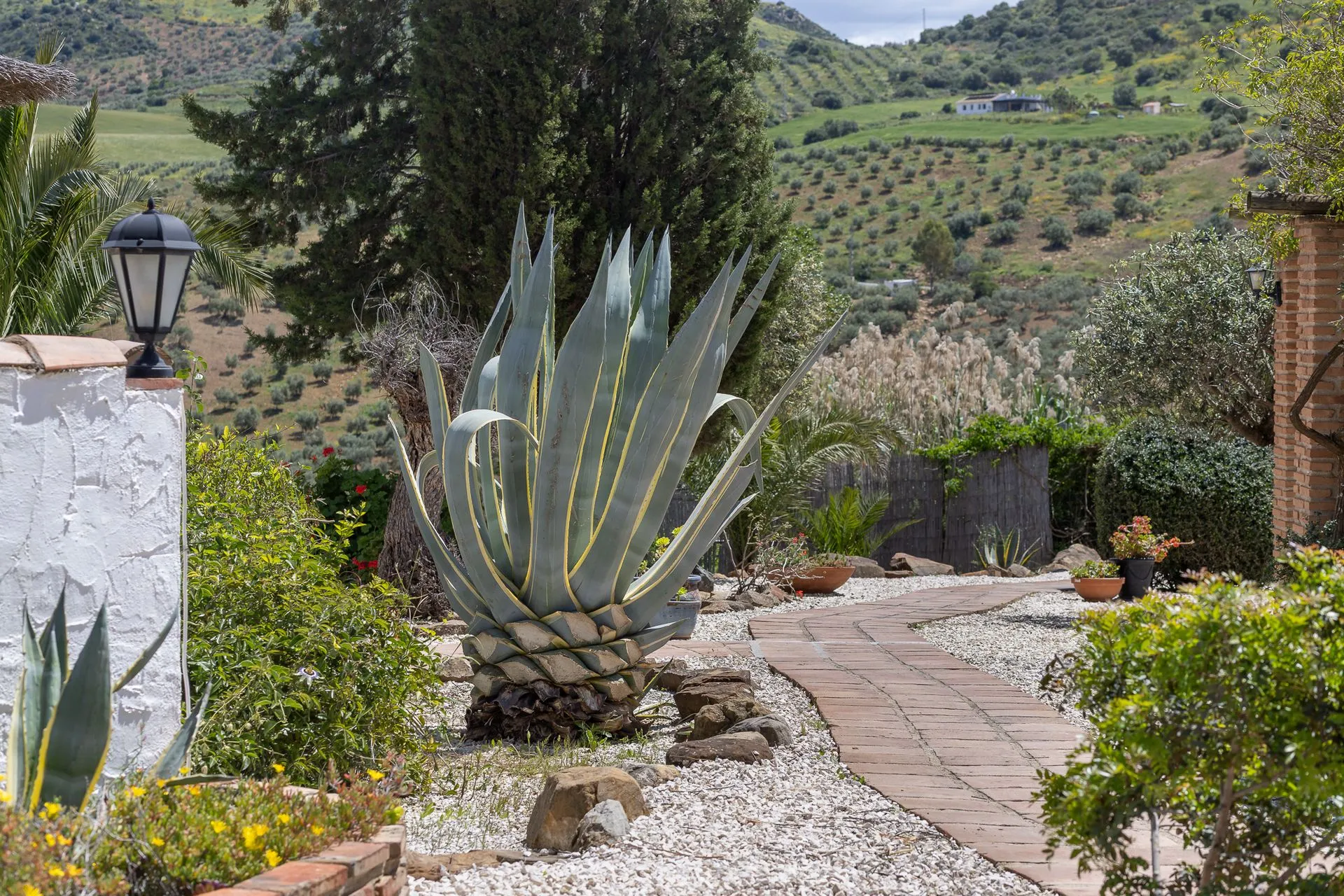 About the Estate (4)