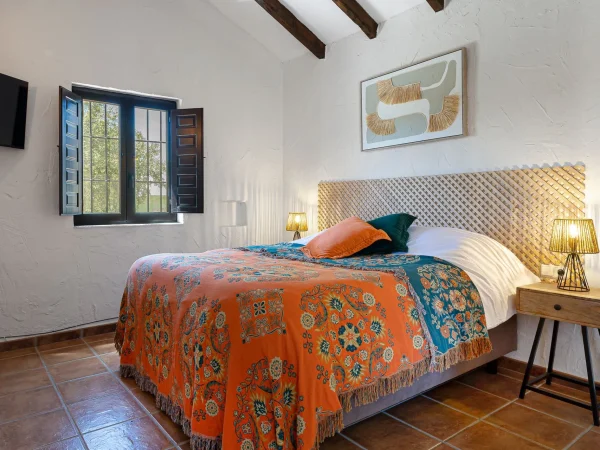 Valverde202504359LR-1920w